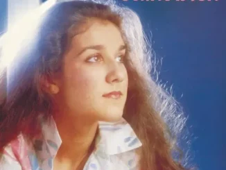 Du soleil au coeur Céline Dion
