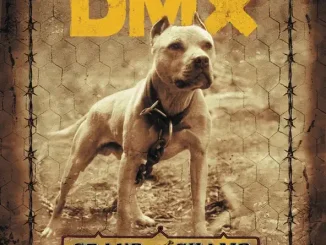 Grand Champ (Bonus Track Version) DMX