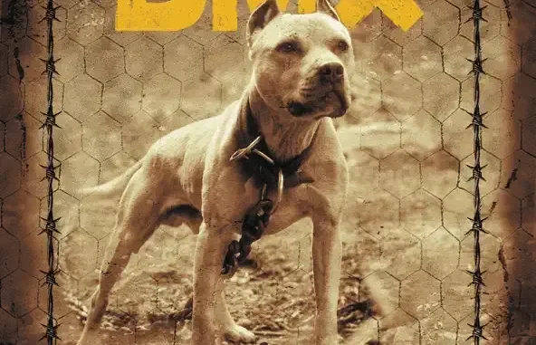 Grand Champ (Bonus Track Version) DMX Grand Champ (Bonus Track Version) DMX