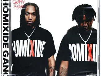 ALBUM: Homixide Gang – Homixide Lifestyle Homixide Gang Homixide Lifestyle