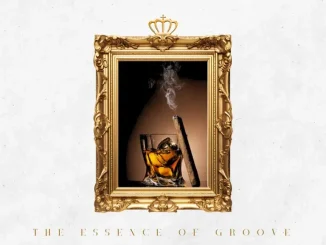 Ep: Inspector Deep - The Essence of Groove Inspector Deep – The Essence of Groove