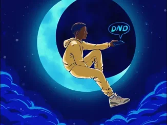 Kidwild - DND Kidwild DND