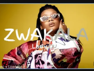 Lady Du ft Mr JazziQ, Boohle, Dbn Gogo & Megadrumz – Zwakala Lady Du – Zwakala ft Mr JazziQ, Boohle, Dbn Gogo & Megadrumz