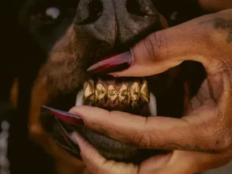 ALBUM: Leon Thomas – MUTT Deluxe: HEEL Leon Thomas MUTT Deluxe HEEL