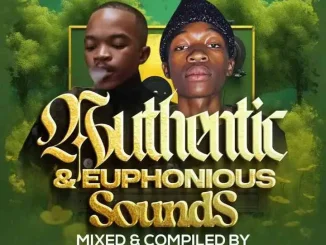 Lowbass Djy ft MCannal – Authentic & Euphonious Sounds Lowbass Djy – Authentic & Euphonious Sounds ft MCannal