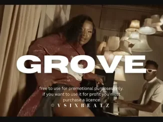 Makhadzi ft Mr Bow,Shandesh & Janesh – Grove Makhadzi – Grove ft Mr Bow,Shandesh & Janesh