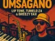 Mr Nice – Umsangano ft De Soultic, Tumelo za, Breezy Sax & Lip tone
