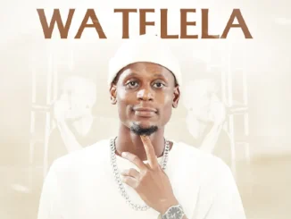 Naleboy Young King – Ngwana Wa Telela ft Massive Productions