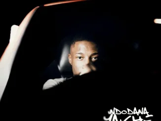 Nandipha808 – INDODANA YAKHE