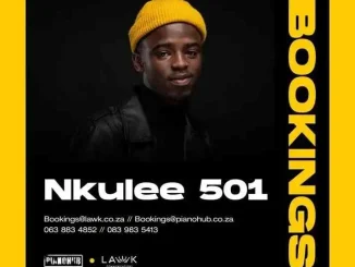 Nkulee 501 ft MuziqalTone – Summerhouse Sessions Nkulee 501 – Summerhouse Sessions ft MuziqalTone