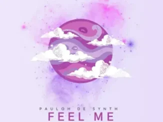 Pauloh De Synth ft Cyatt RSA, BusyExplore & Dunn’s SA – Feel Me Pauloh De Synth – Feel Me ft Cyatt RSA, BusyExplore & Dunn’s SA