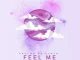 Pauloh De Synth – Feel Me ft Cyatt RSA, BusyExplore & Dunn’s SA