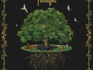 ALBUM: PhaseOne – Terranova PhaseOne – Terranova