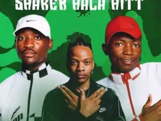 Phobla on the beat ft Prince Zulu – Shaker Hala Hitt Phobla on the beat – Shaker Hala Hitt ft Prince Zulu