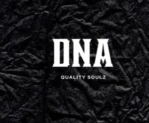 Quality Soulz – Dna Quality Soulz – Dna
