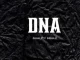 Quality Soulz – Dna