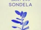 Saint Evo – Sondela