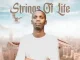 Toolz Umazelaphi – Strings of Life