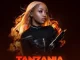 Uncle Waffles – Tanzania ft Tony Duardo, Sino Msolo & Boibizza