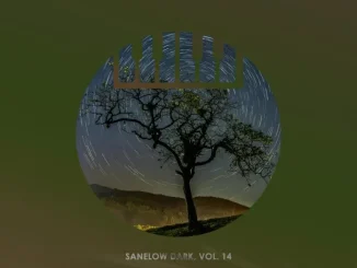 Album: VA - Sanelow Dark, Vol. 14 VA – Sanelow Dark, Vol. 14