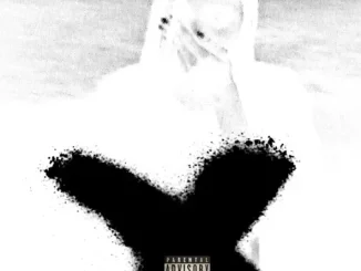 Worstfeelineva 2 Brotherkupa
