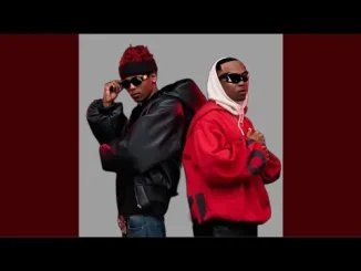 Xduppy, Scotts Maphuma & Mellow & Sleazy feat. Dj Maphorisa & Pushkin – Khuthuzile Xduppy, Scotts Maphuma & Mellow & Sleazy Khuthuzile feat. Dj Maphorisa & Pushkin