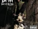 Year of the Dog...Again DMX