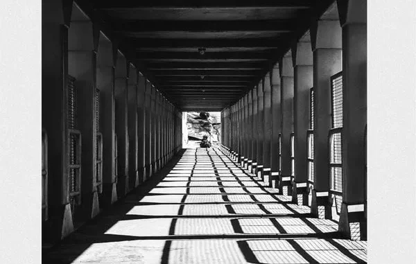 ZIDDO – Black & White ZIDDO – Black & White