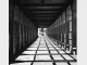ZIDDO – Black & White