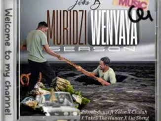 Zviko B ft Zoloe, Cladah, Take5 TheHunter & Lia Sheng – Zvandinodawo Zviko B – Zvandinodawo ft Zoloe, Cladah, Take5 TheHunter & Lia Sheng