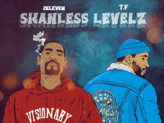 ALBUM: 2 Eleven & T.F – Doughnetworkz Presents: Skanless Levelz 2 Eleven & T.F Doughnetworkz Presents Skanless Levelz