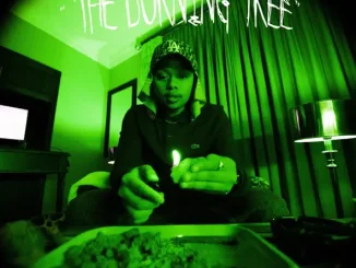 ALBUM: A-Reece – The Burning Tree: Remix Deluxe A Reece – The Burning Tree Remix Deluxe