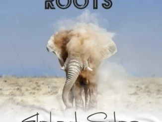 Afrikan Roots – Elephant Steps Afrikan Roots – Elephant Steps