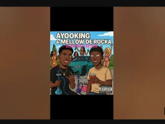 Ayoooking – Infinity Groove(Amapiano Hit) [Block Party Anthem] ft Mellow De Rocka