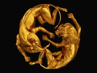 ALBUM: Beyoncé – The Lion King: The Gift Beyoncé The Lion King The Gift