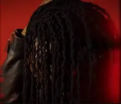 Boomerang – B.O.T.B Boomerang – B.O.T.B