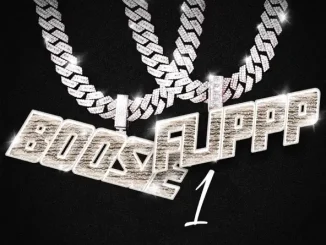 ALBUM: Boosie Badazz & DJ Flippp – BoosieFlippp 1 Boosie Badazz & DJ Flippp BoosieFlippp 1