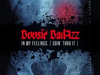 ALBUM: Boosie Badazz – In My Feelings. (Goin' Thru It) Boosie Badazz In My Feelings (Goin' Thru It)