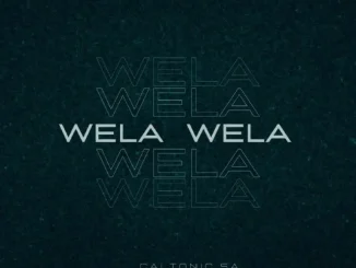Caltonic SA ft Perspectiv Soul, Nampiiey & BoituM – Wela Wela Caltonic SA – Wela Wela ft Perspectiv Soul, Nampiiey & BoituM