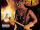 Cam'ron Confessions Of Fire