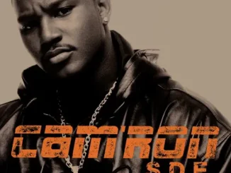 ALBUM: Cam'ron – S.D.E. Cam'ron S D E