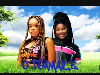 DJ KSB & Harrycane ft Nkosazana Daughter & Boohle – O Tsamaile DJ KSB & Harrycane – O Tsamaile ft Nkosazana Daughter & Boohle