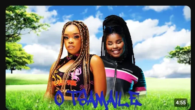 DJ KSB & Harrycane – O Tsamaile ft Nkosazana Daughter & Boohle DJ KSB & Harrycane – O Tsamaile ft Nkosazana Daughter & Boohle