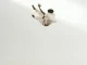 Daniel Caesar Pilgrim's Paradise