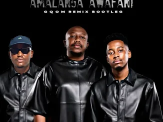 Dankie Boi ft Mas Musiq – Amalanga Awafani ( Gqom Bootleg Remix) Dankie Boi – Amalanga Awafani ( Gqom Bootleg Remix) ft Mas Musiq