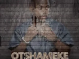 Dj The Guy – Otshameke 3Step Remix Dj The Guy – Otshameke 3Step Remix