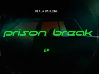 Dlala Baseline – Italian Job Dlala Baseline – Escape Room