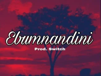 Dlala Thukzin ft Ocar Mbo & Prod. Switch – Ebumnandini (StatRazo) Dlala Thukzin – Ebumnandini (StatRazo) ft Ocar Mbo & Prod. Switch