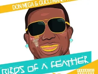 ALBUM: Don Mega & Gucci Mane – Birds of a Feather 2 Don Mega & Gucci Mane – Birds of a Feather 2