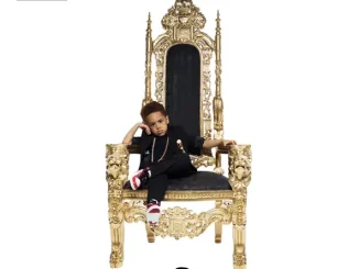 ALBUM: Fabolous – The Young OG Project Fabolous The Young OG Project